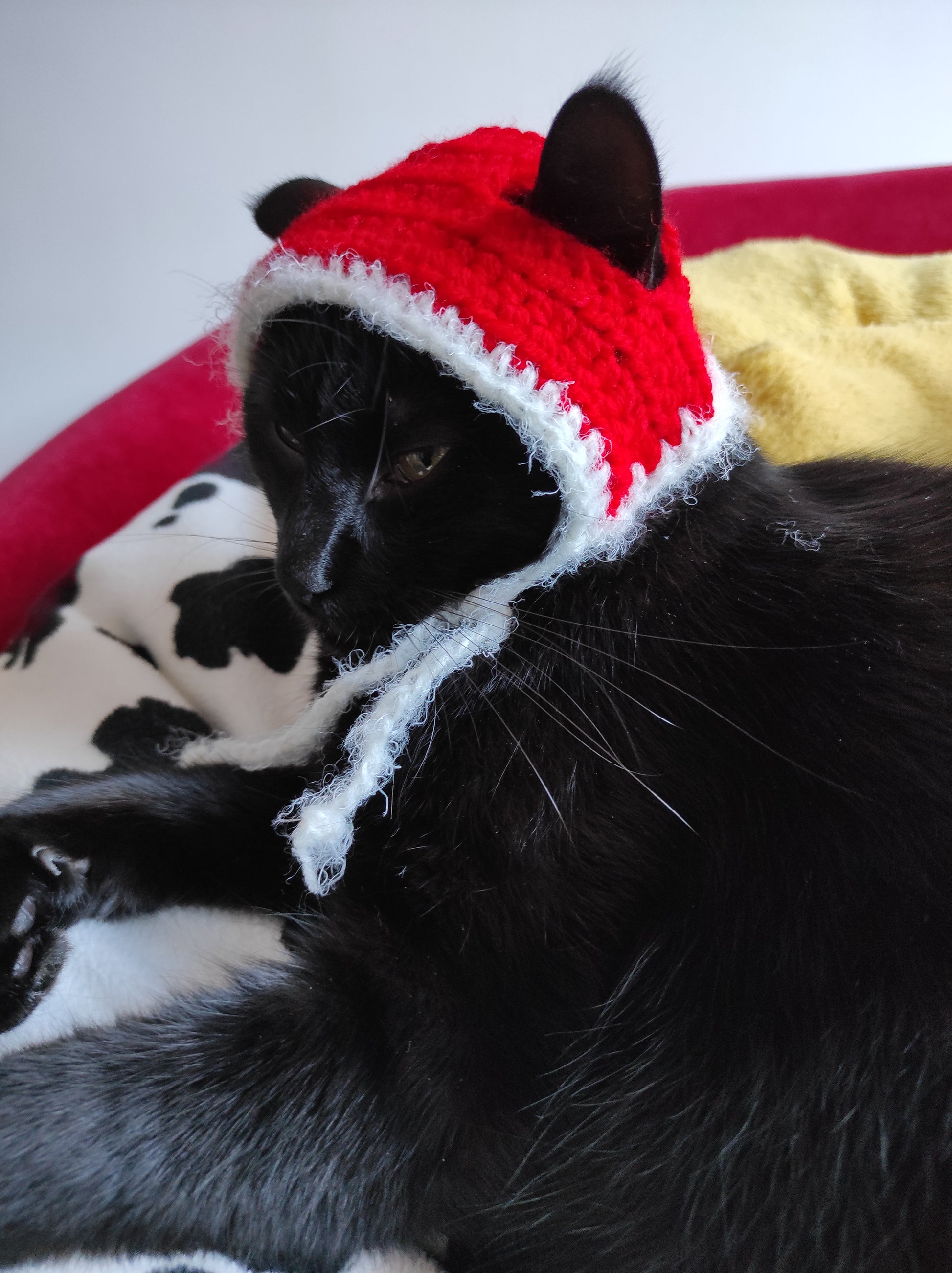 Capuche père Noël accessoires