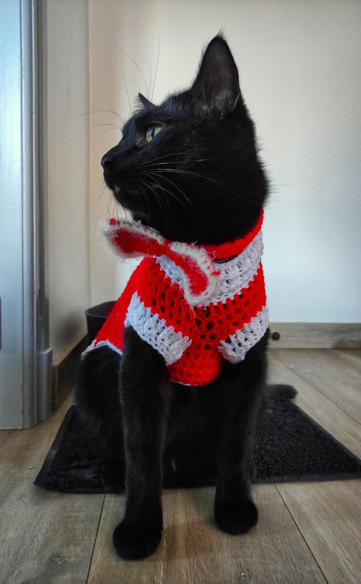 Vêtement crocheté chat Noël fabriqué en France