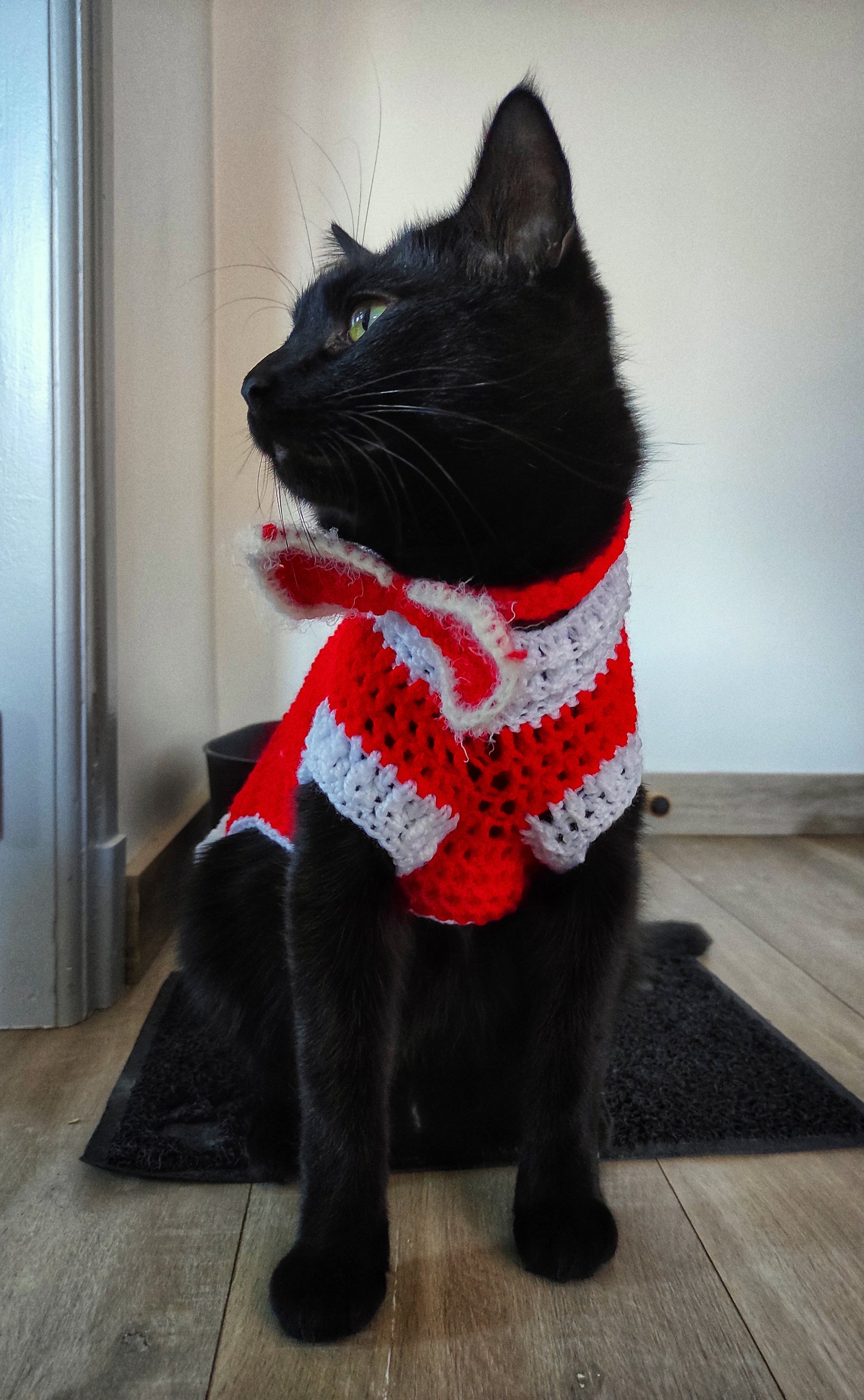 Vêtement crocheté chat Noël fabriqué en France