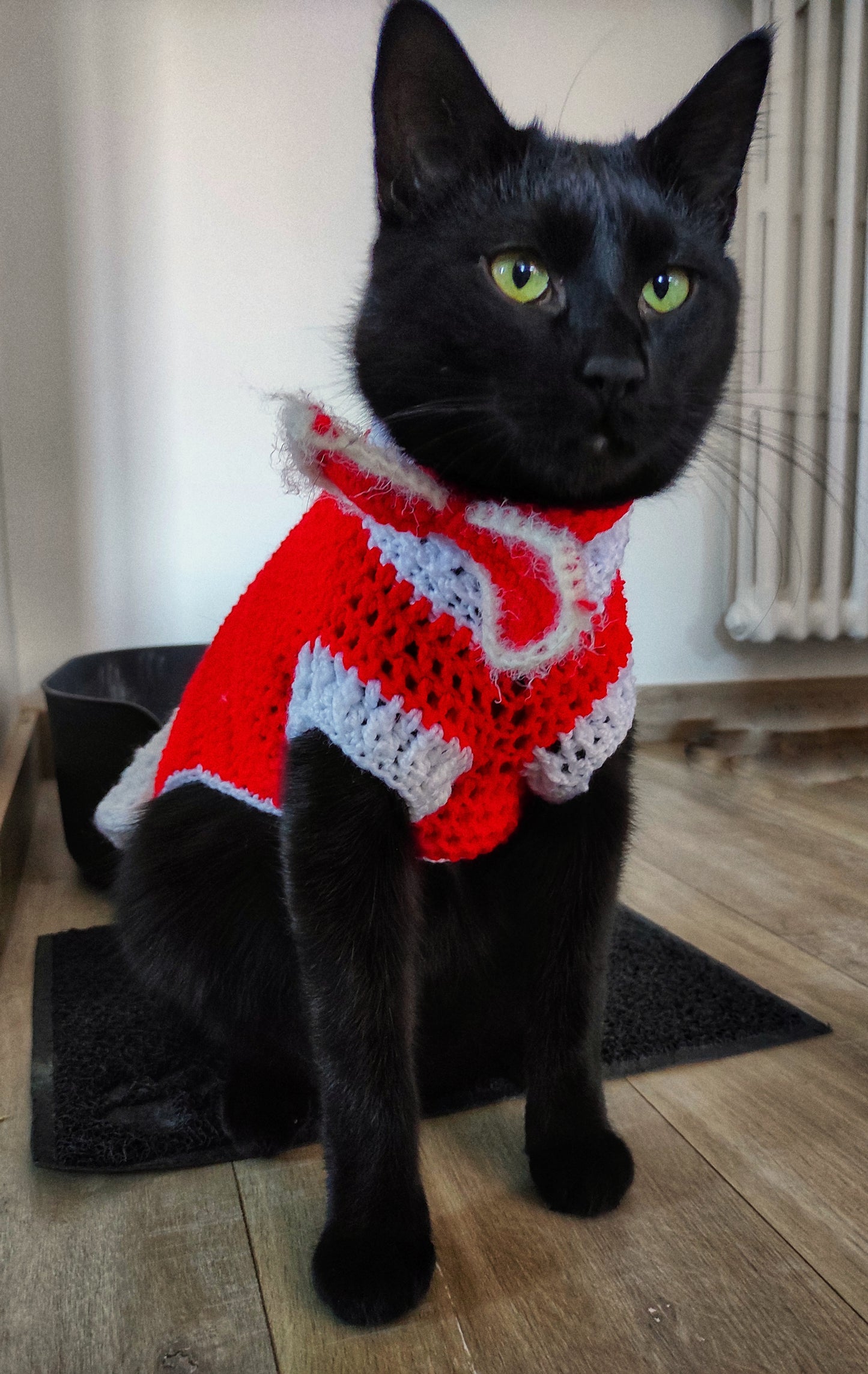 Vêtement Noël crocheté chat fabriqué en France