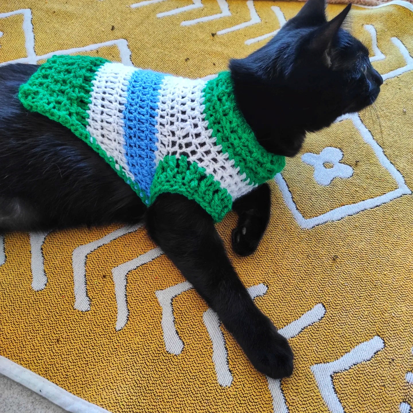 Vêtement vert bleu blanc crocheté main chat